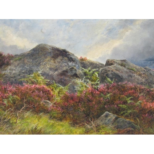 252 - James Faed Jnr. 1902 - Heather amongst a rocky outcrop . signed and dated, oil on board, framed, 25c... 