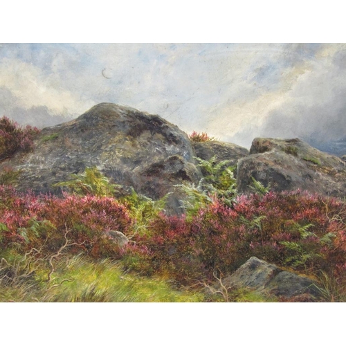 252 - James Faed Jnr. 1902 - Heather amongst a rocky outcrop . signed and dated, oil on board, framed, 25c... 