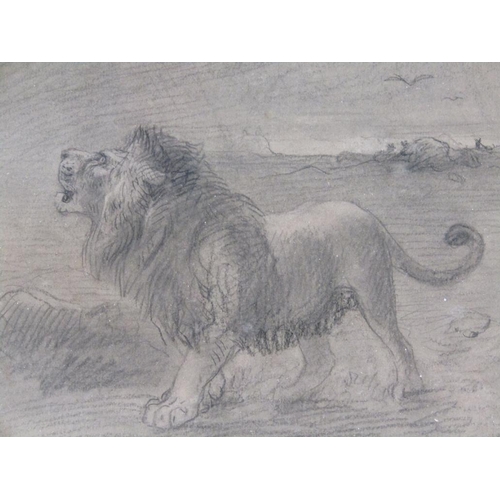 236 - James Wolf 1820/1899 - Pair, Lion and lioness & Lion and his prey, from being illustration for Docto... 