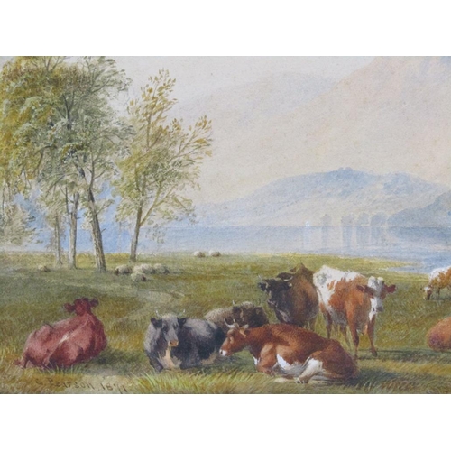 238 - C. Pearson 1871 - Cattle resting beside a loch, signed and dated watercolour, framed and glazed, 20c... 