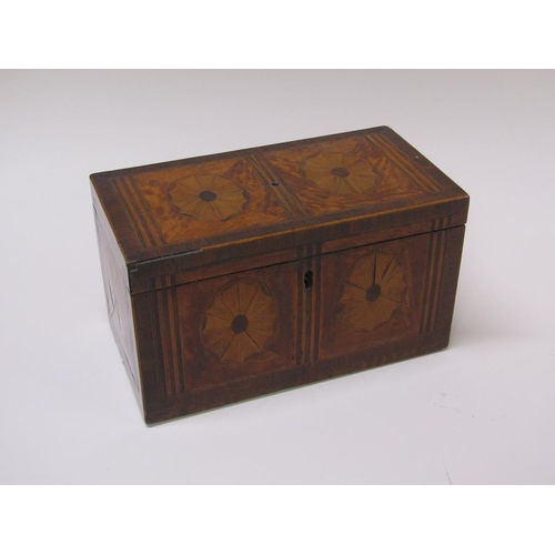 59 - A Regency period rosewood and satinwood two compartment tea caddy with patera marquetry panels withi... 