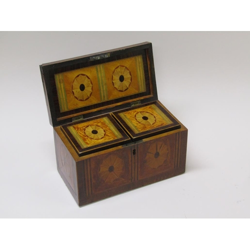 59 - A Regency period rosewood and satinwood two compartment tea caddy with patera marquetry panels withi... 