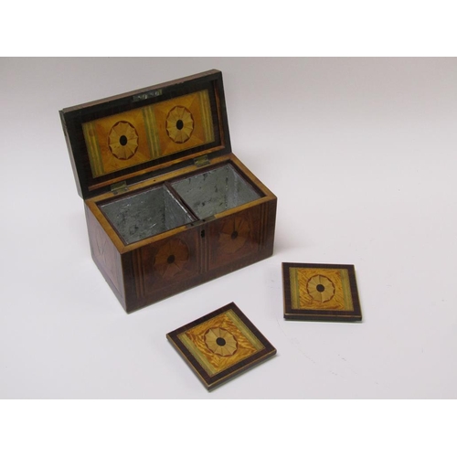 59 - A Regency period rosewood and satinwood two compartment tea caddy with patera marquetry panels withi... 