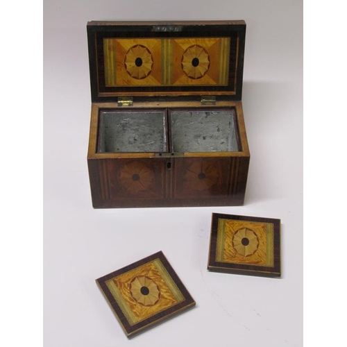 59 - A Regency period rosewood and satinwood two compartment tea caddy with patera marquetry panels withi... 