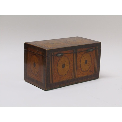 59 - A Regency period rosewood and satinwood two compartment tea caddy with patera marquetry panels withi... 