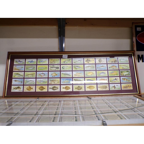 424 - FRAMED CIGARETTE TYPE CARDS