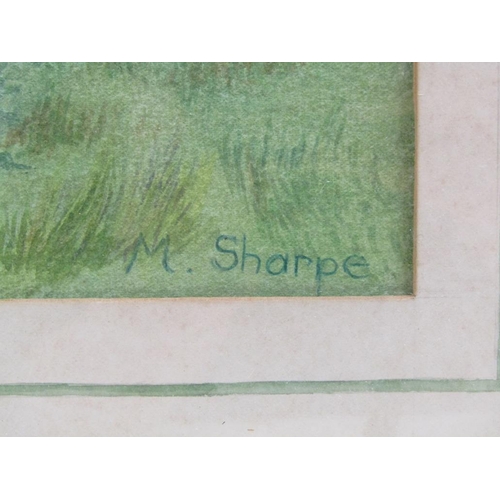 1204 - M SHARPE - KNIPE - SHEEP GRAZING, SIGNED WATERCOLOUR, F/G, 38CM X 55CM