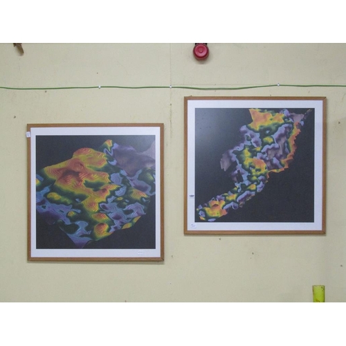 1207 - PAIR OF FRAMED COLOURED ABSTRACT PRINTS, F/G, EACH 65CM X 68CM