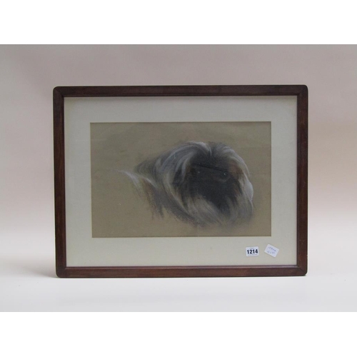 1214 - UNSIGNED - PEKINGESE DOG, WATERCOLOUR, F/G, 28CM X 24CM