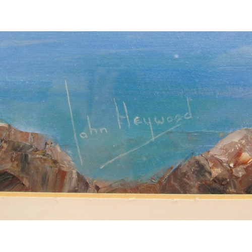 1235 - JOHN HEYWOOD, CAMP COVE, SYDNEY HARBOUR AND THE HARBOUR FOURNI OIL PAINTINGS.  F/G 30 x 45 cms EACH