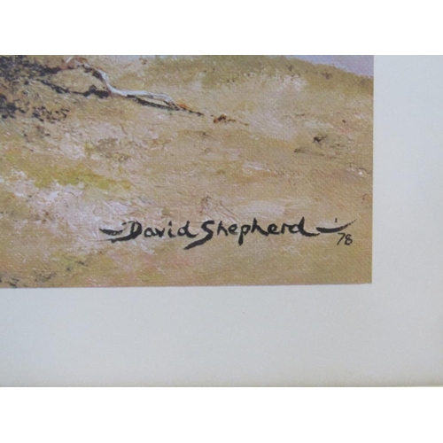 1236 - DAVID SHEPHERD, GREATER KUDU COLOURED PRINT, SIGNED IN PENCIL. F/G 49 x 83 cms