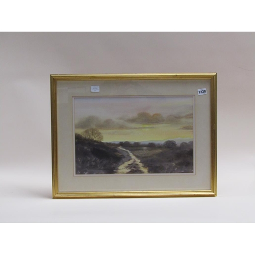 1238 - MARY WASTIE, AUTUMN PLOUGHING, SIGNED WATERCOLOUR F/G 29 x 44 cms