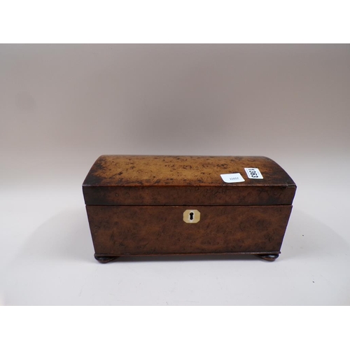 1363 - 19C BURR WOOD DOME TOP BOX FOR RESTORATION