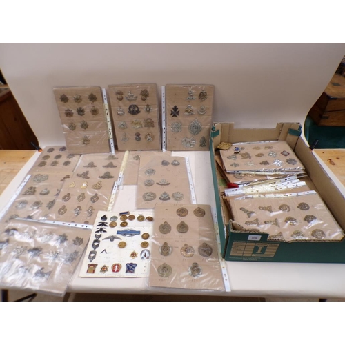 1775 - LARGE COLLECTION OF MILITARY BADGES ETC