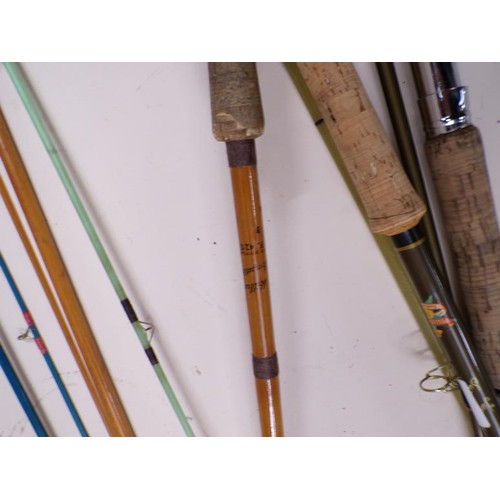 1379 - COLLECTION OF FISHING RODS