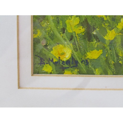 1202 - BRUCE MULCAHY - BUTTERCUP FIELD, GOUACHE, SIGNED, F/G, 19CM X 13CM