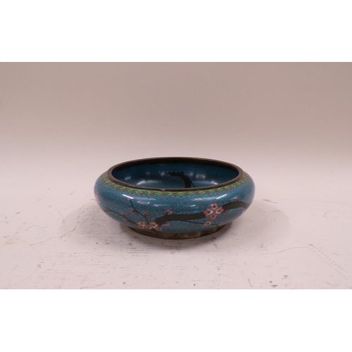 1459 - ORIENTAL CLOISONNE BOWL, 22CM W