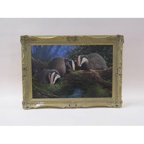 1236 - STEPHEN CUMMINS - THREE BADGERS AT A POOL, SIGNED, OIL ON CANVAS, FRAMED, 49CM X 74CM