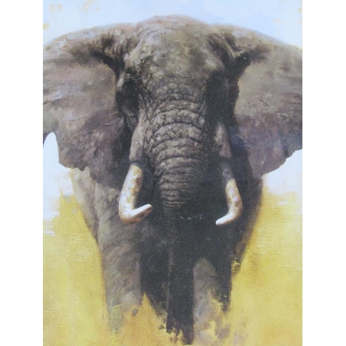 1253 - DAVID SHEPHERD - TWO COLOURED PRINTS, - ELEPHANTS, F/G 38 x 76 cms