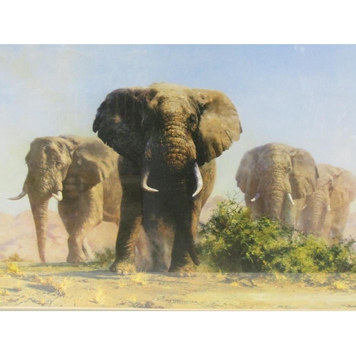 1253 - DAVID SHEPHERD - TWO COLOURED PRINTS, - ELEPHANTS, F/G 38 x 76 cms