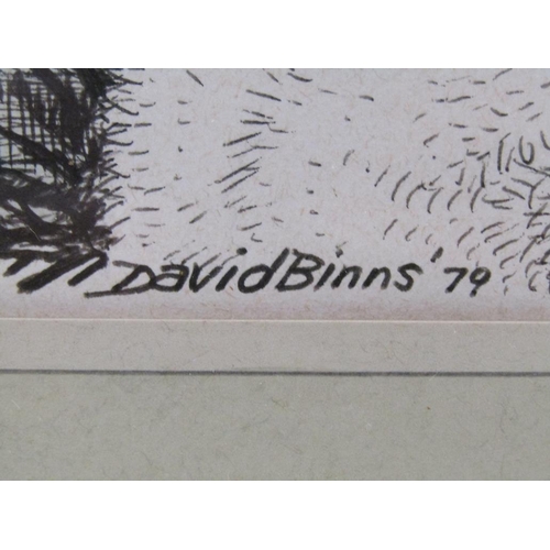 1268 - COLLECTION OF DAVID BINNS FRAMED AND UNFRAMED BLACK ON WHITE COLOURED PRINTS AND INKS INC. GANNETS A... 