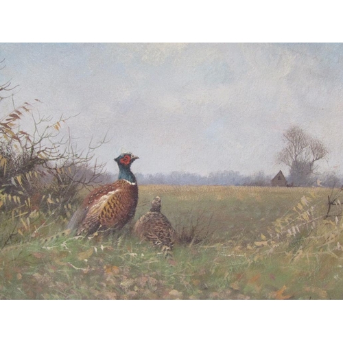 1273 - JAMES WRIGHT, TWO PHEASANTS IN A LANDSCAPE, SIGNED OIL ON BOARD FRAMED 19 x 24 cms