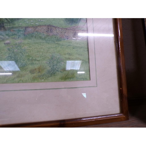 160 - FRAMED PASTEL - SHEEP GRAZING