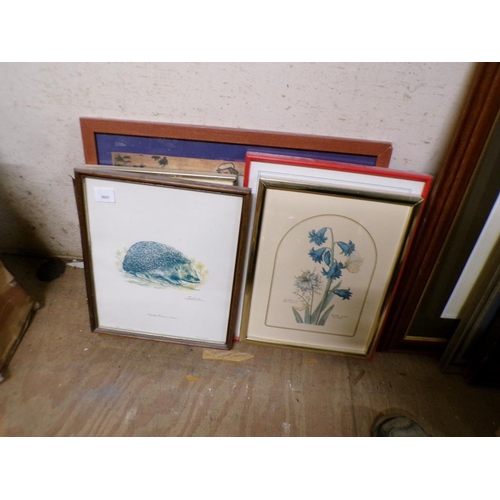 170 - COLLECTION OF FRAMED PICTURES AND PRINTS