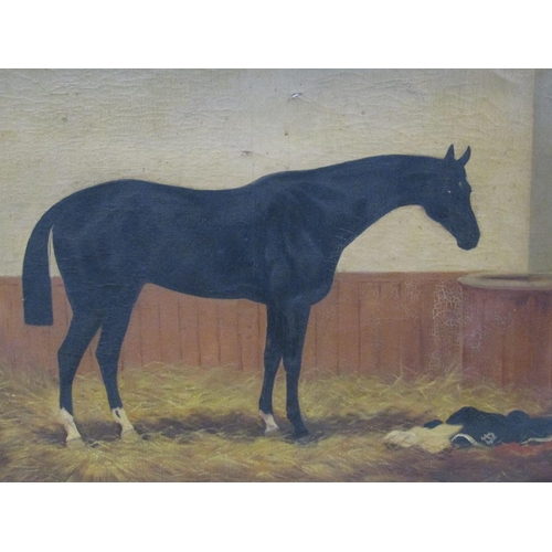 1213 - SIGNED INDISTINCTLY - HORSE IN STABLE, OIL ON CNAVAS, FRAMED, 56CM X 72CM