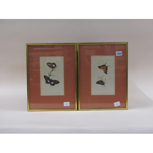 1222 - PAIR OF 19C FRAMED COLOURED PRINTS - BUTTERFLIES, EACH 21CM X 13CM