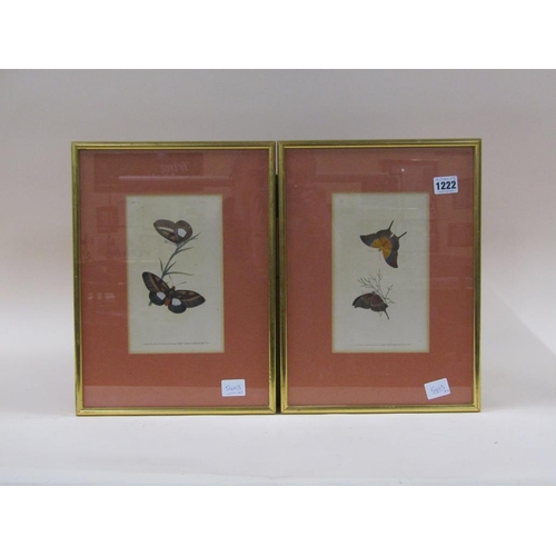 1222 - PAIR OF 19C FRAMED COLOURED PRINTS - BUTTERFLIES, EACH 21CM X 13CM