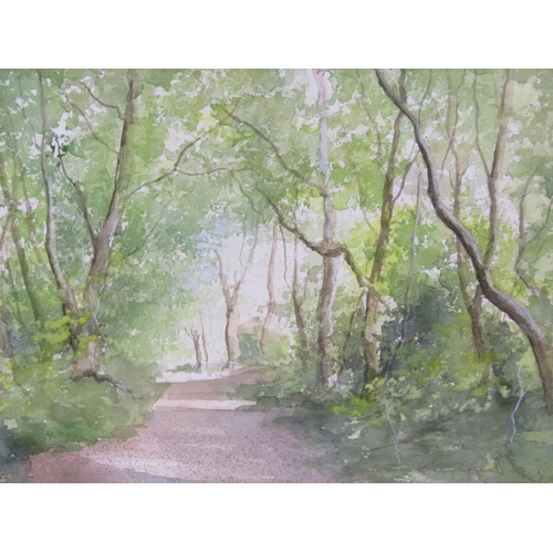 1224 - TONY COWLISHAW - WOODLAND SETTING NEAR GROOMSBRIDGE, KENT, SIGNED, F/G, 25CM X 34CM