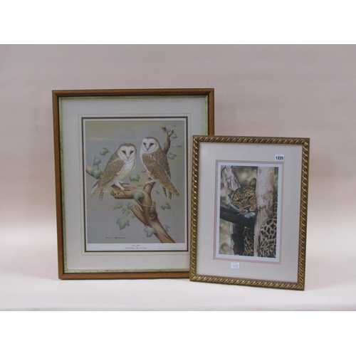 1225 - TWO PICTURES - LINDSEY SELLEY - LEOPARD LIMITED EDITION PRINT & DAVID ANDREWS PRINT - TWO BARN OWLS ... 