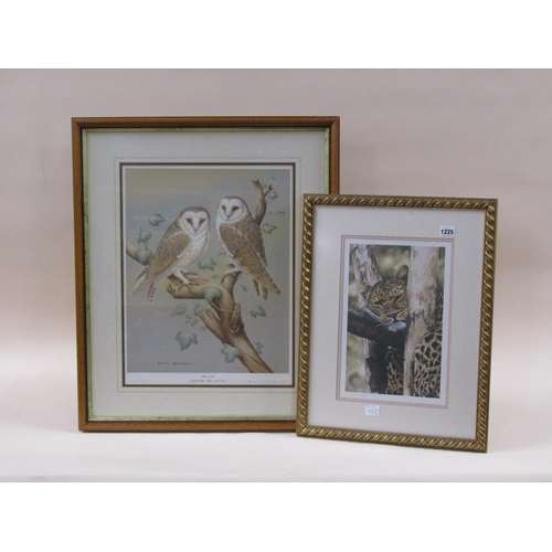 1225 - TWO PICTURES - LINDSEY SELLEY - LEOPARD LIMITED EDITION PRINT & DAVID ANDREWS PRINT - TWO BARN OWLS ... 