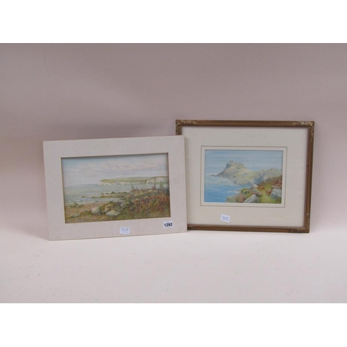 1262 - SIGNED INDISTINCTLY, TWO LATE 19c DEVON COASTAL SCENES, WATERCOLOURS. 20 x 34 cms