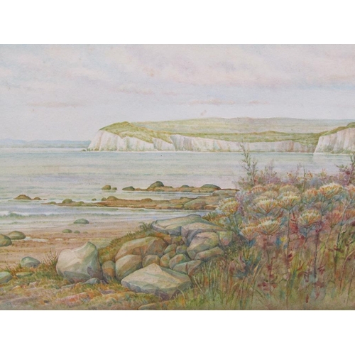 1262 - SIGNED INDISTINCTLY, TWO LATE 19c DEVON COASTAL SCENES, WATERCOLOURS. 20 x 34 cms