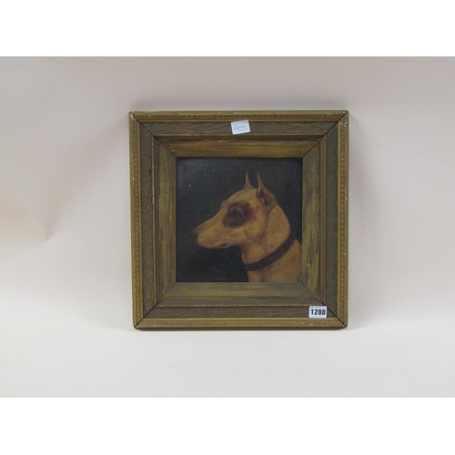 1288 - UNSIGNED 19C - PORTRAIT OF A TERRIER DOG, OIL ON BOARD, FRAMED, 23CM X 23CM