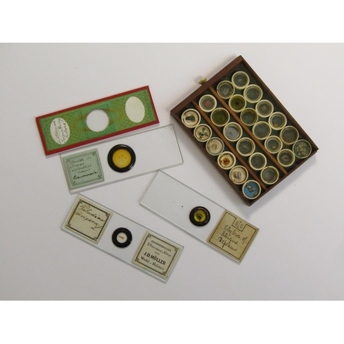 1359 - LARGE COLLECTION OF MICROSCOPIC SLIDES TOGETHER WITH STUDENTS MICROSCOPE