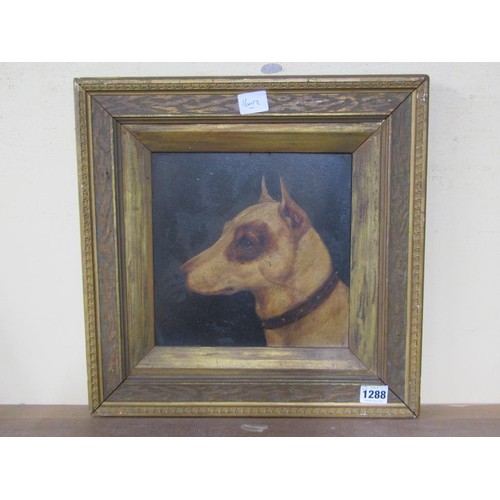 1288 - UNSIGNED 19C - PORTRAIT OF A TERRIER DOG, OIL ON BOARD, FRAMED, 23CM X 23CM