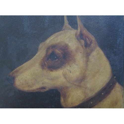 1288 - UNSIGNED 19C - PORTRAIT OF A TERRIER DOG, OIL ON BOARD, FRAMED, 23CM X 23CM