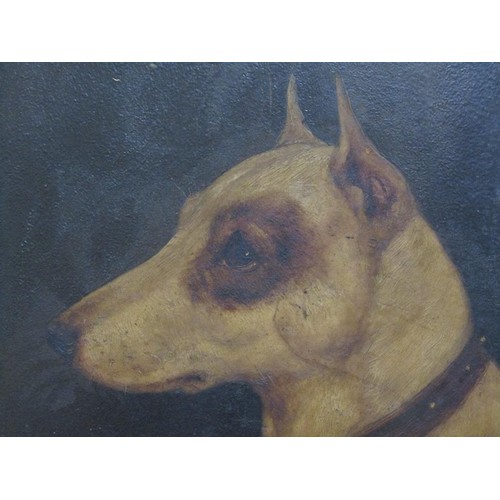 1288 - UNSIGNED 19C - PORTRAIT OF A TERRIER DOG, OIL ON BOARD, FRAMED, 23CM X 23CM