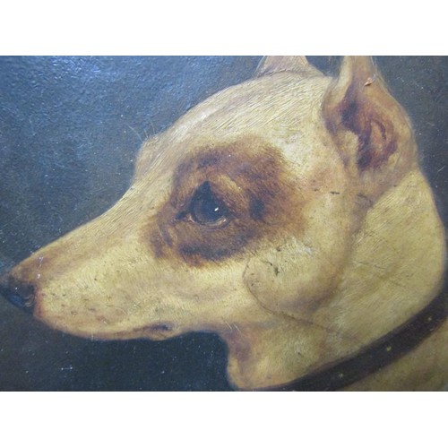 1288 - UNSIGNED 19C - PORTRAIT OF A TERRIER DOG, OIL ON BOARD, FRAMED, 23CM X 23CM