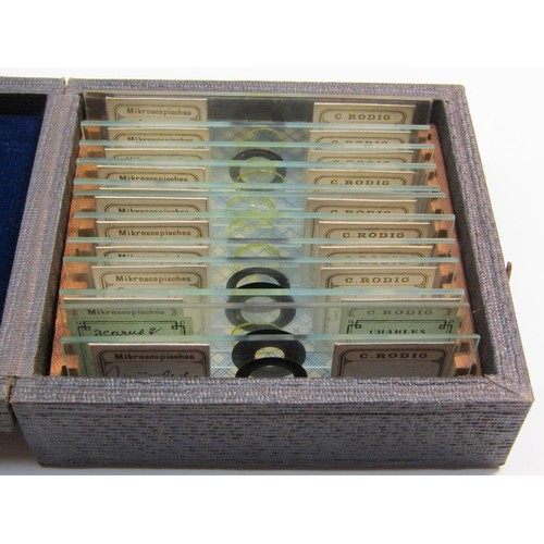 1359 - LARGE COLLECTION OF MICROSCOPIC SLIDES TOGETHER WITH STUDENTS MICROSCOPE