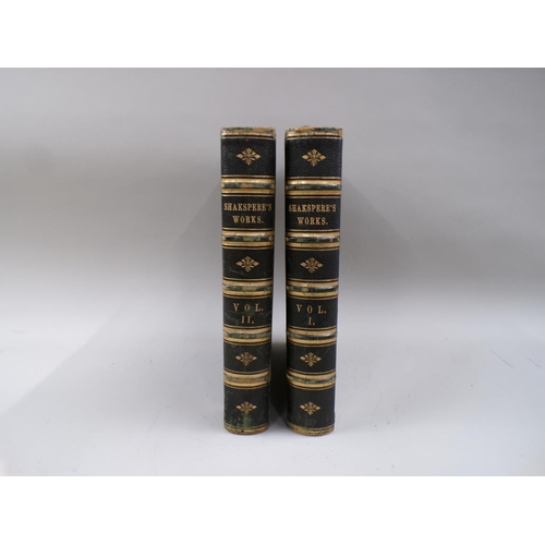 1332 - TWO LEATHER BOUND VOLUMES - SHAKESPEARE WORKS