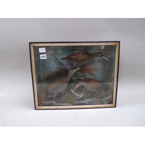 Lot 1371      