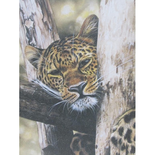 1203 - LYNDSEY SELLEY - TIGER, F/G COLOURED PRINT, 34CM X 23CM