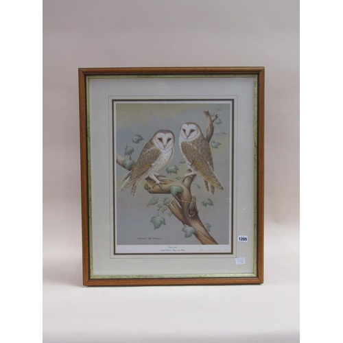 1205 - DAVID ANDREWS - BARN OWL, LIMITED EDITION COLOURED PRINT, F/G, 49CM X 37CM