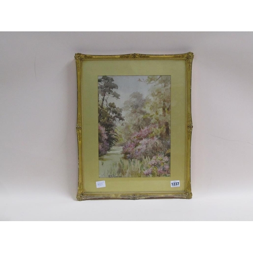 1237 - J.R.A FITMIN - PINK BLOSSOM, SIGNED WATERCOLOUR, F/G, 35CM X 24CM