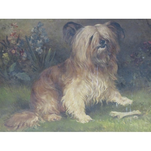 1260 - S.L HARDY APRIL/80 - TERRIER DOG, SIGNED OIL ON CANVAS, FRAMED, 49CM X 67CM