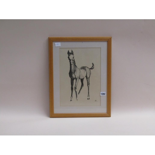 1282 - JONI PTL - A FOAL, BLACK CHALK, F/G, 35CM X 24CM